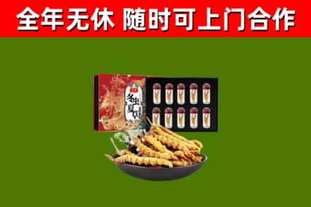 苍溪回收冬虫夏草价格